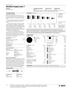 blackrock large equity index symbol.